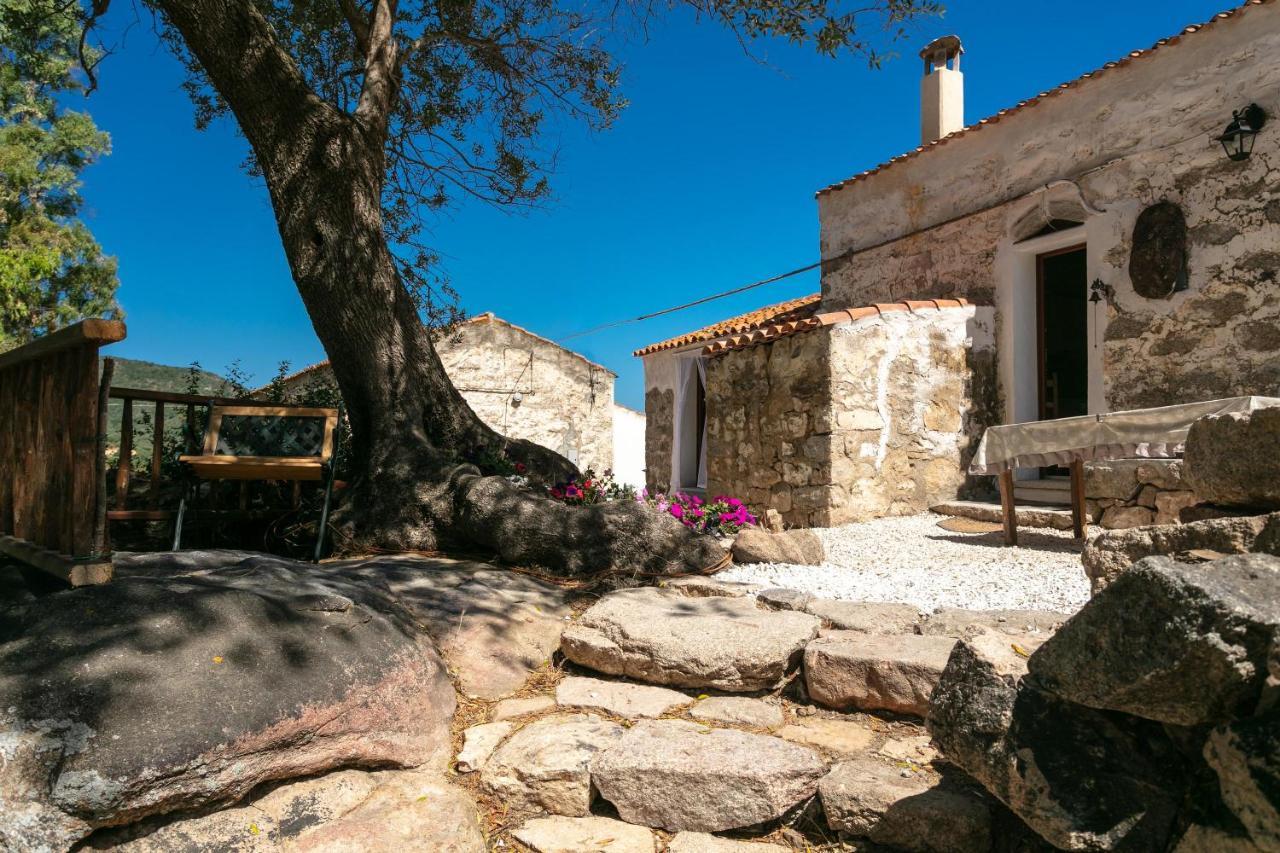 Casa Vacanza Stazzu Saiacciu Palau Zewnętrze zdjęcie